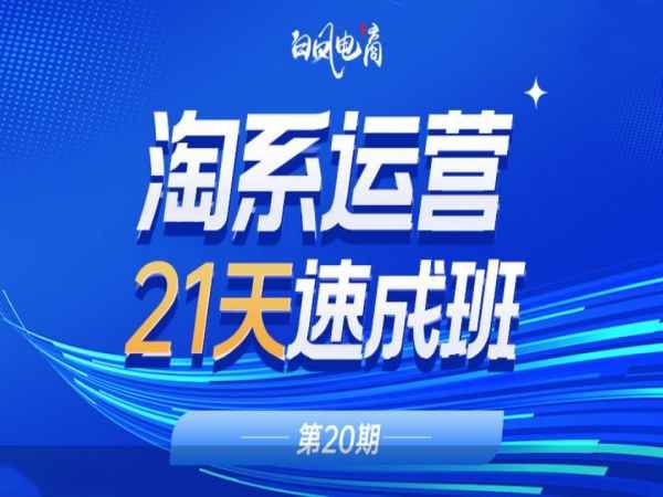 白凤电商-淘系运营21天速成班第20期-蓄力双11-2023