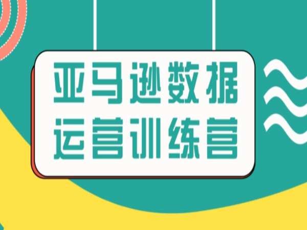 迷之一-亚马逊数据运营特练营-跨境电商培训打包下载