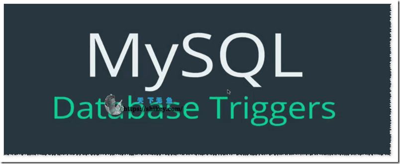 MySQL终极训练营从SQL初学者到专家（英文教程）带字幕 The Ultimate MySQL Bootcamp Go from SQL Beginner to Expert