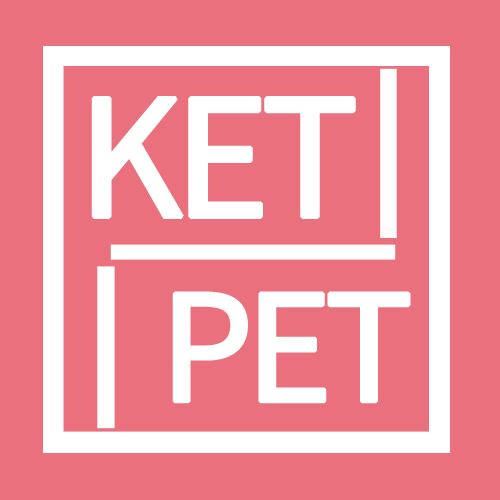 小学英语PET、KET综合能力强化班