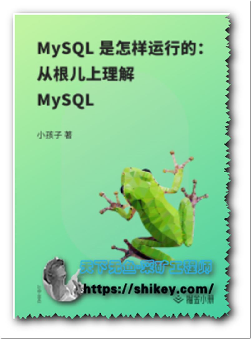 MySQL 是怎样运行的：从根儿上理解 MySQL