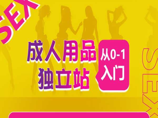 成人用品独立站从0-1入门-跨境电商打包下载