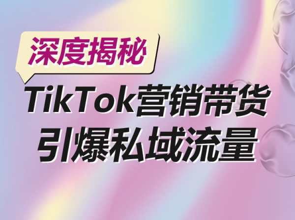 深度揭秘：TikTok营销带货，引爆私域流量2023