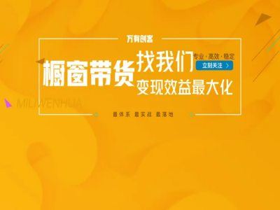 手把手教你从0到1系统玩转抖音橱窗带货变现-真九电商