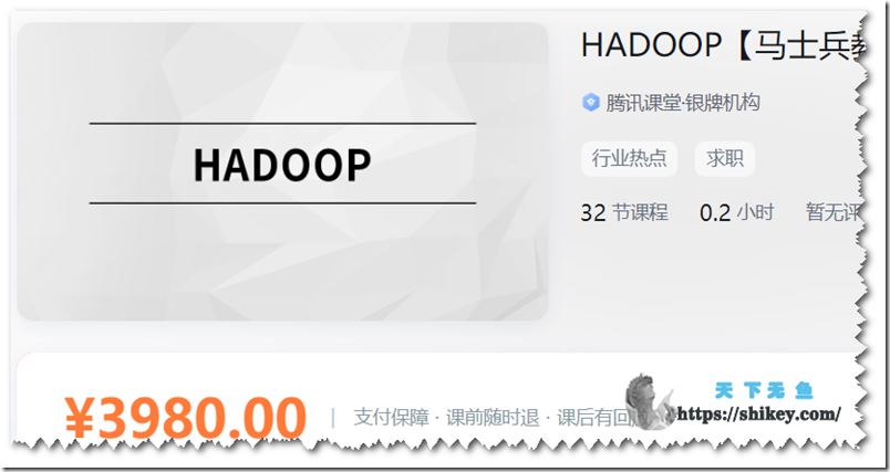 马士兵教育 MCA小课 Hadoop生态体系