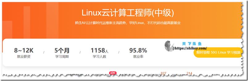 路飞学城 Linux云计算工程师(中级)2021