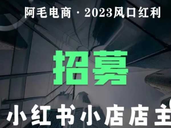 阿毛电商全程陪跑-2023小红书实操落地课-2023