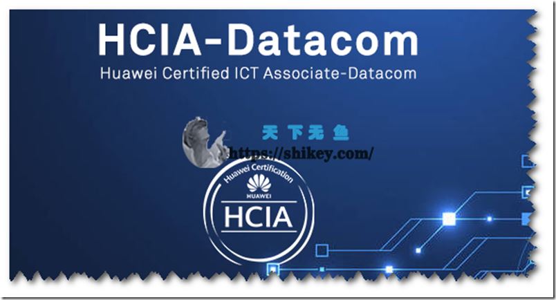 WOLF实验室 HCIA Datacom全套视频（2022年6月版）