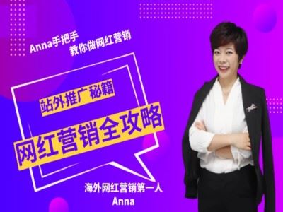 站外推广秘笈：网红营销全攻略-anna跨境电商打包下载