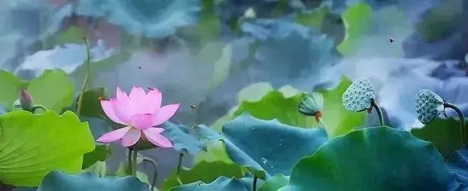 云舒写看图写话1-2年级