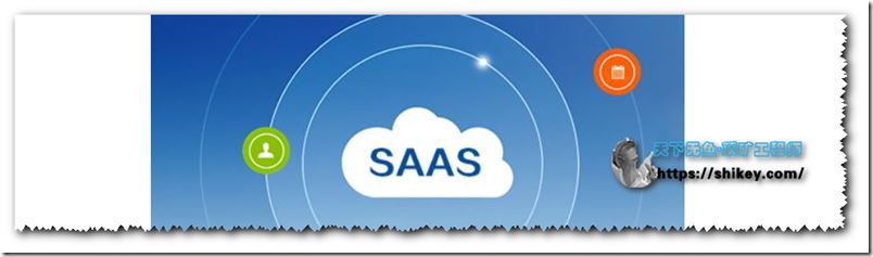 微服务企业版快速开发框架（SaaS模式）
