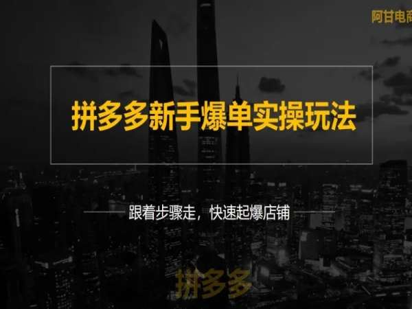 拼多多新手爆单实操方法-阿甘电商拼多多教程打包下载